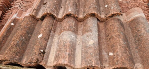 Reclaimed Concrete Pan Tiles Russell Derwent on Roof